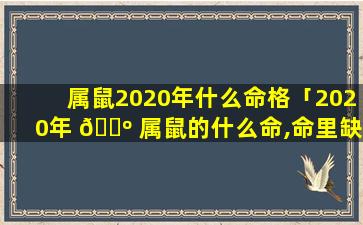 属鼠2020年什么命格「2020年 🐺 属鼠的什么命,命里缺什么」